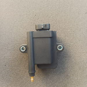 Bobine allumage IGT